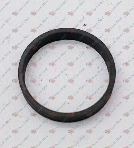 GUARNIZIONE LRC 18110121D15 - BCS - P000000008996