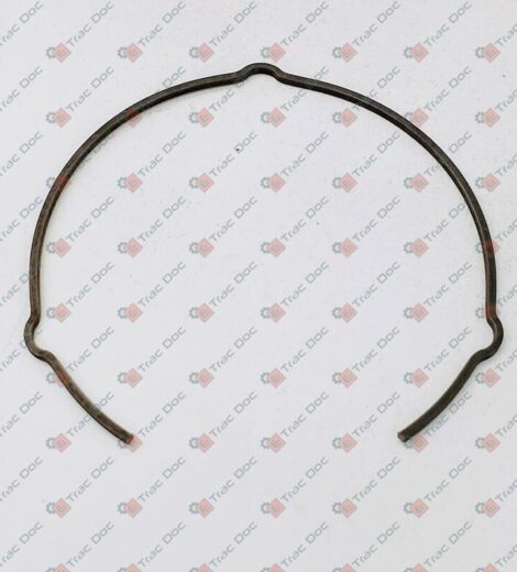 ANELLO ELASTICO PASQUALI - BCS - P453330000000