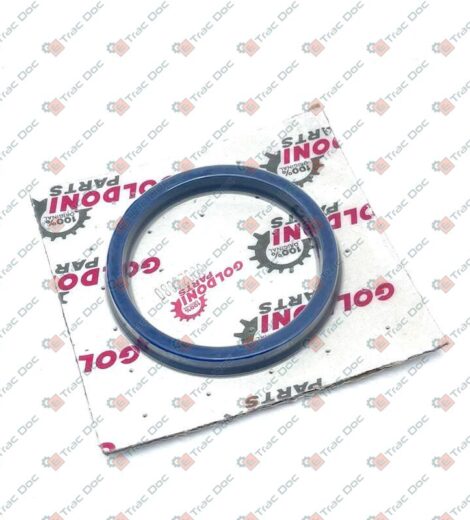 SEAL RING 60X70X9 - GOLDONI - 00026080