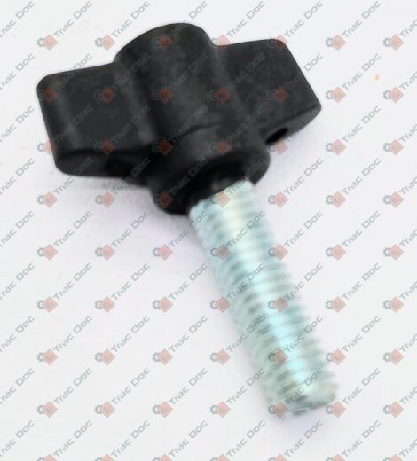 POMELLO FILTRO ARIA 555-1 - GOLDONI - 06340312