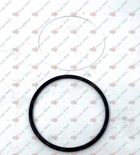 ANELLO OR CON ANTI ESTRUSIONE - LANDINI - 3540343M91