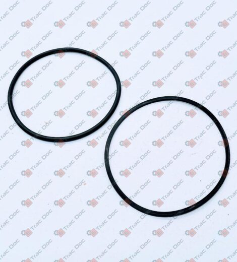 O-RING KIT - LANDINI - 3615948M1