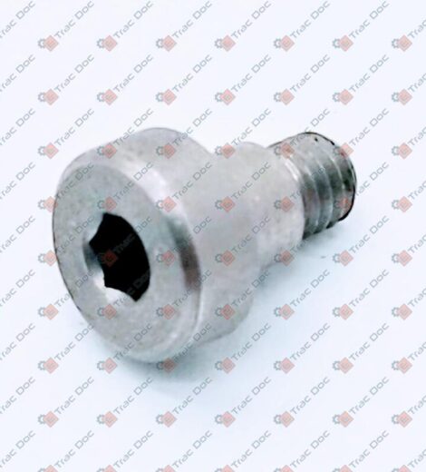 VITE SPECIALE - LANDINI - 6506161M1