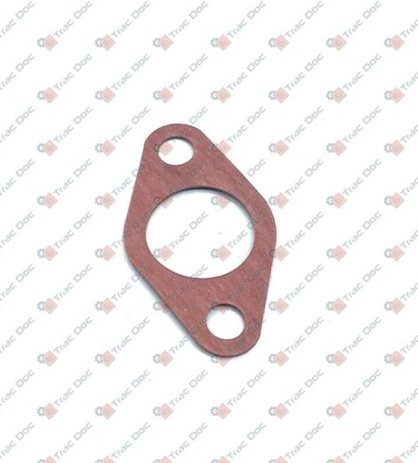 GUARNIZIONE - LANDINI - 6676996A1