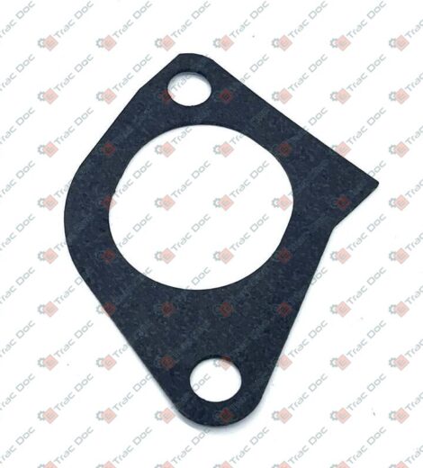 GUARNIZIONE - LANDINI - 6677047A1