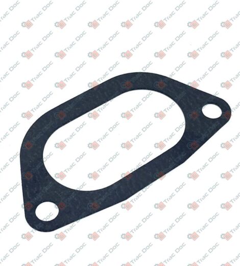 GUARNIZIONE - LANDINI - 6677048A1