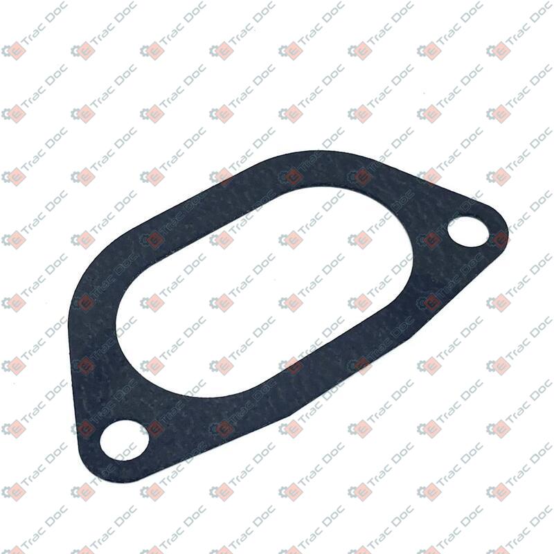 GUARNIZIONE - LANDINI - 6677048A1