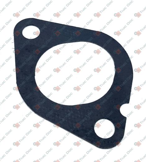 GUARNIZIONE - LANDINI - 6677066A1