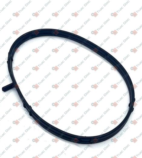 GUARNIZIONE - LANDINI - 6679004A1