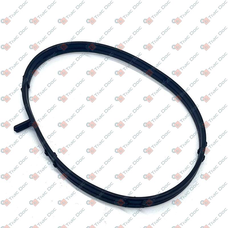 GUARNIZIONE - LANDINI - 6679004A1