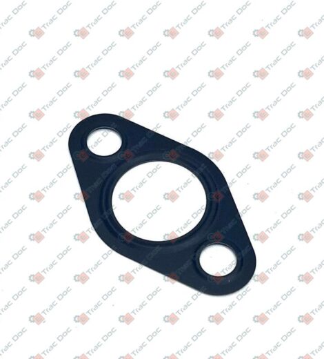 GUARNIZIONE - LANDINI - 6679047A1
