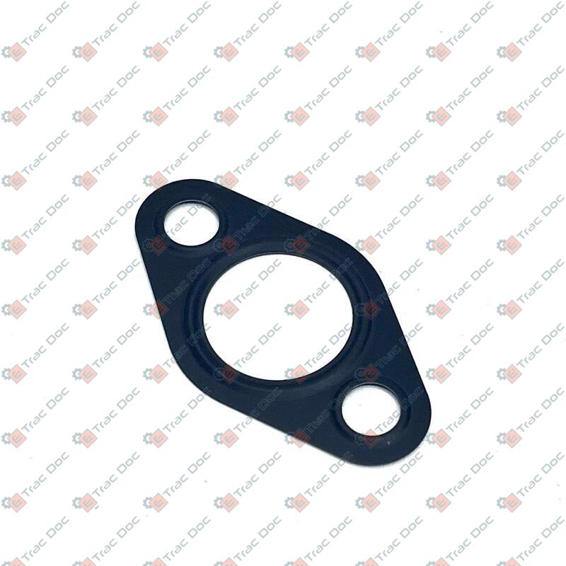 GUARNIZIONE - LANDINI - 6679047A1