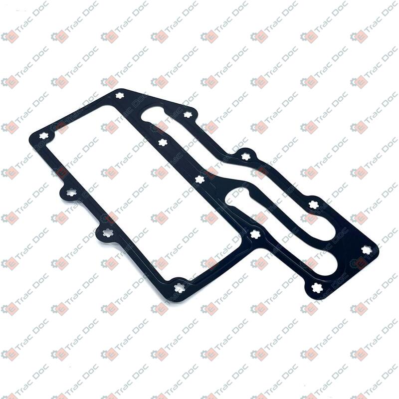 GUARNIZIONE - LANDINI - 6679048A1