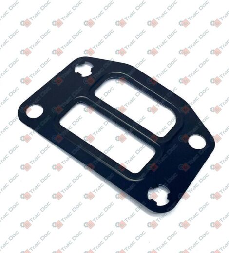 GUARNIZIONE - LANDINI - 6679107A1
