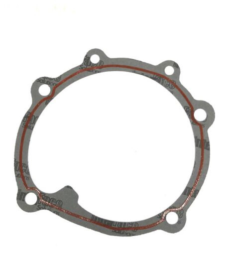 WATER PUMP GASKET - CNH Originale - 98400794