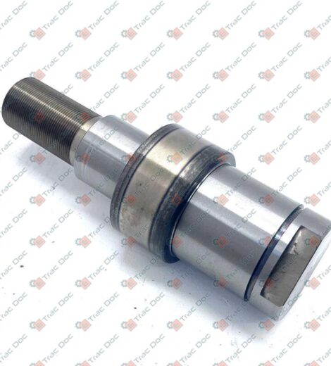 PIN - LANDINI - 4205196M3