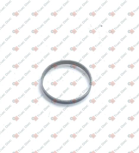 ANELLO ANTIESTRUSIONE DIAMETRO 19x2.05 mm. - AFTERMARKET - 44015841