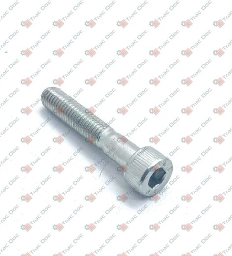 VITE A BRUGOLA - LANDINI - 1441612X1