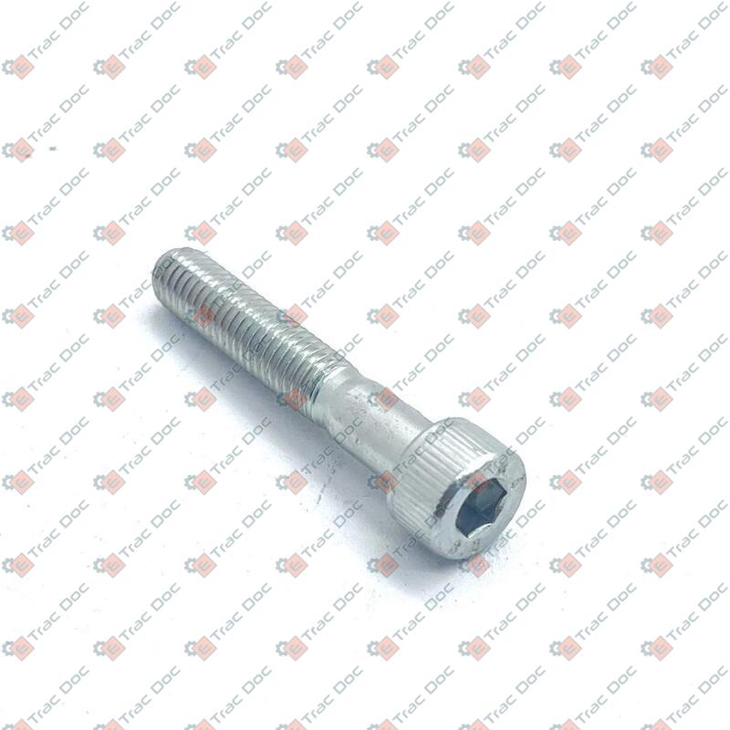 VITE A BRUGOLA - LANDINI - 1441612X1