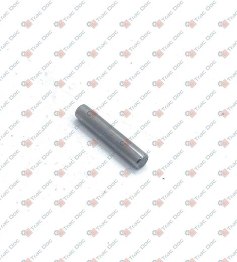 ROLLER DIAMETER 4x21.8 mm. - SAME - LAMBORGHINI - HURLIMANN - DEUTZ FAHR - 2.2999.073.0/10
