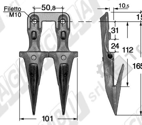 DENTE DOPPIO SEMIFITTO BCS 622 - FORT - SEP - L'AGRICOLA RICAMBI - 74201