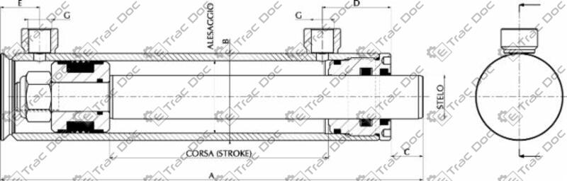 CILINDRO IDRAULICO DOPPIO EFFETTO STANDARD - AMA RICAMBI - 17323 - immagine 3