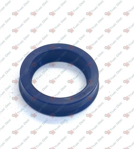 STEERING CYLINDER STEM SEAL - LANDINI - 4202481M1