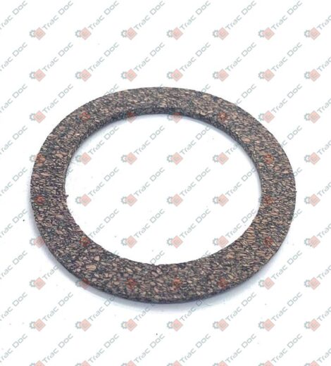 CORK SEAL - LANDINI - 6676349A1