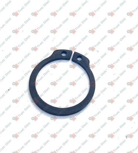 ANELLO ELASTICO SEEGER 24x1,75 E74 - GOLDONI - 06240089