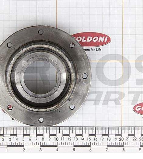 FLANGIA SUPPORTO ROTORE FRESA GOLDONI - GOLDONI - 00006079