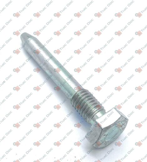 VITE M10x60 A PUNTA - LANDINI - 3304272M2