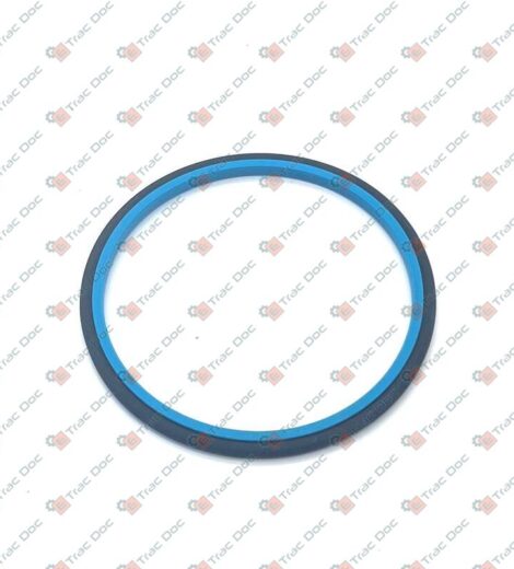 KIT ANELLI DI TENUTA - BCS - 58170443