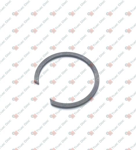 BR24 ELASTIC RING - BCS - F0801175500