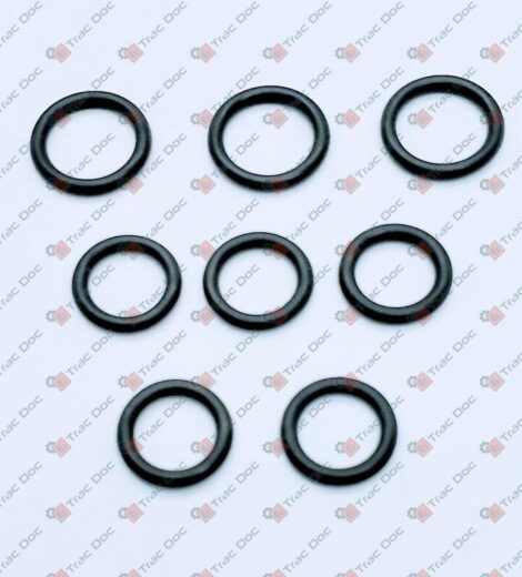 SERIE GUARNIZIONI IDROGUIDA - ANTONIO CARRARO - 27201061