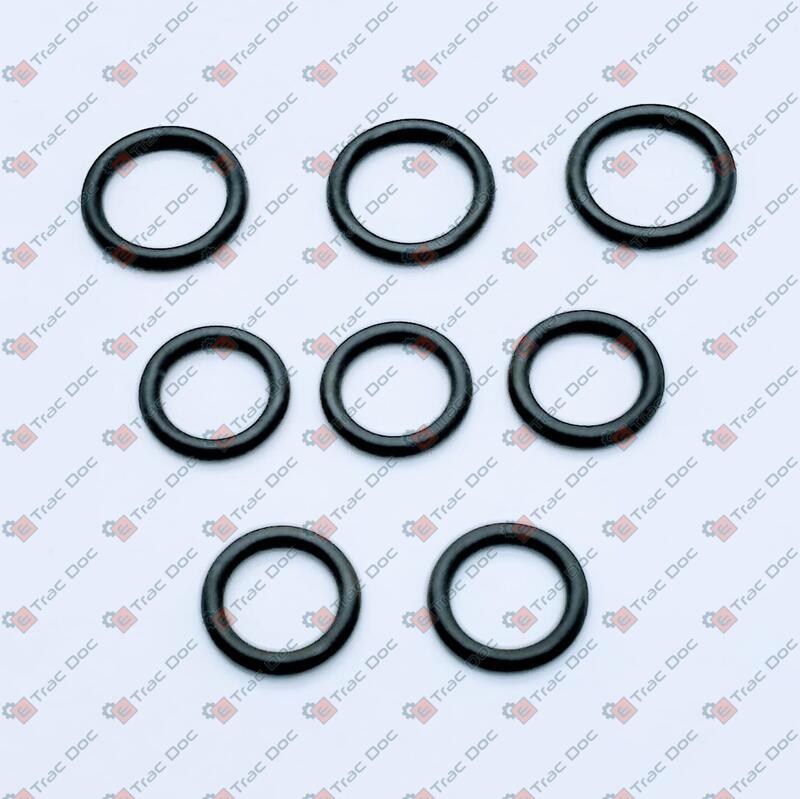 SERIE GUARNIZIONI IDROGUIDA - ANTONIO CARRARO - 27201061