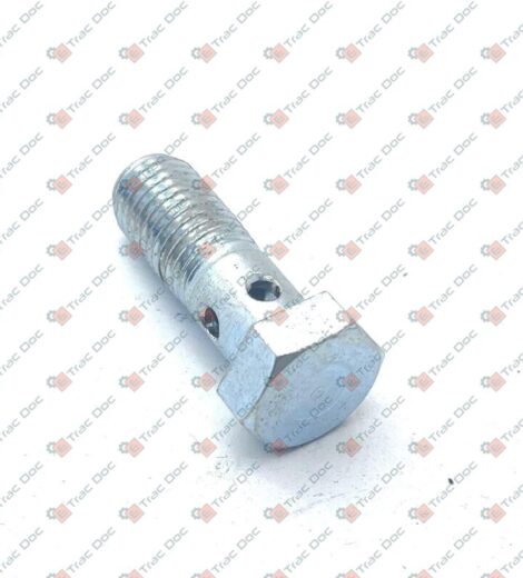 DRILLED SCREW THREAD M10x1.25 - GOLDONI - 00001781