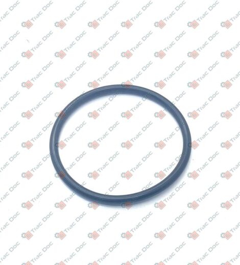 ANELLO OR - John Deere - L33601