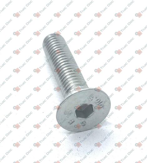 VITE TESTA CONICA IN ACCIAIO R=10.9 - LANDINI - 3009443X1