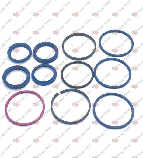 SERIE GUARNIZIONI CILINDRO IDROGUIDA MARCA OGNIBENE - LANDINI - 3670557M91