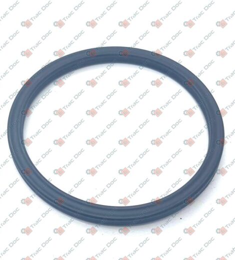 ANELLO DI TENUTA - LANDINI - 3674267M2