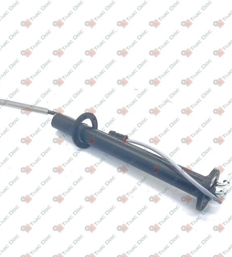 LEVEL GAUGE CONTROL - LANDINI - 4213604M91