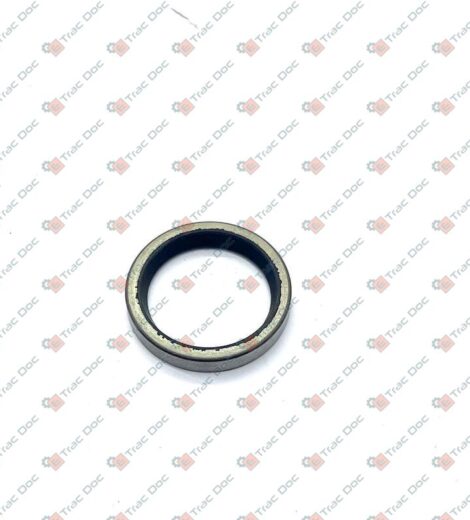 PARAOLIO 20x26x4 - ANTONIO CARRARO - 6077532