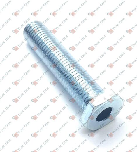 VITE REGISTRO M16x75 mm. - GOLDONI - 00064507