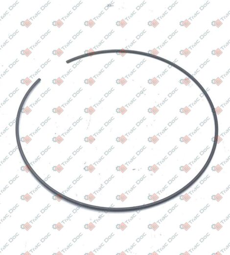 ANELLO ELASTICO - LANDINI - 3654313M1