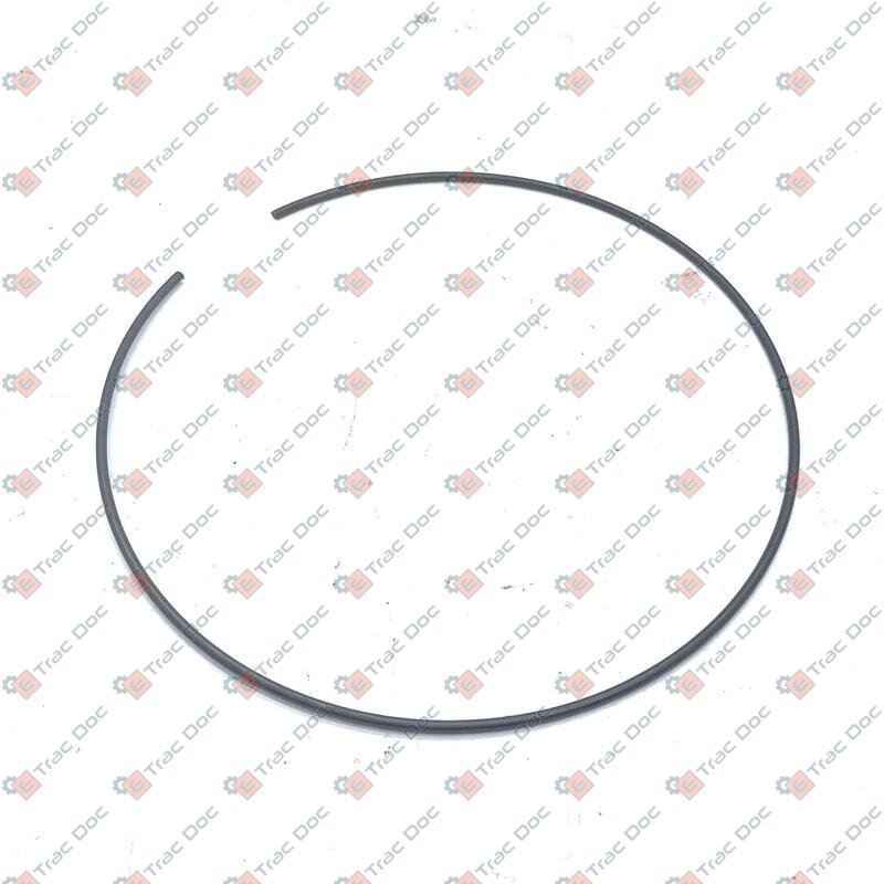 ANELLO ELASTICO - LANDINI - 3654313M1