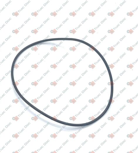 ANELLO OR - Massey Ferguson - VA028641