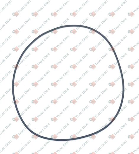 ANELLO DI TENUTA - AFTERMARKET - 01166191