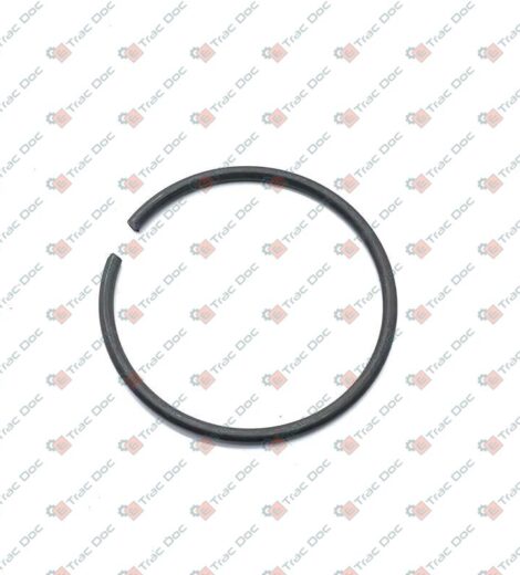 ANELLO ELASTICO A48 7433 - GOLDONI - 06240156