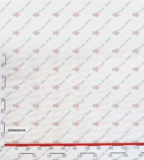 GEAR WHEEL AXLE - GASPARDO - G20860032R