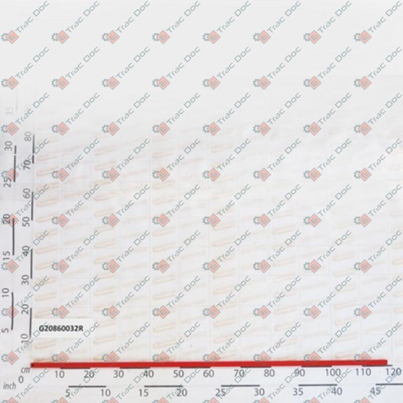 GEAR WHEEL AXLE - GASPARDO - G20860032R